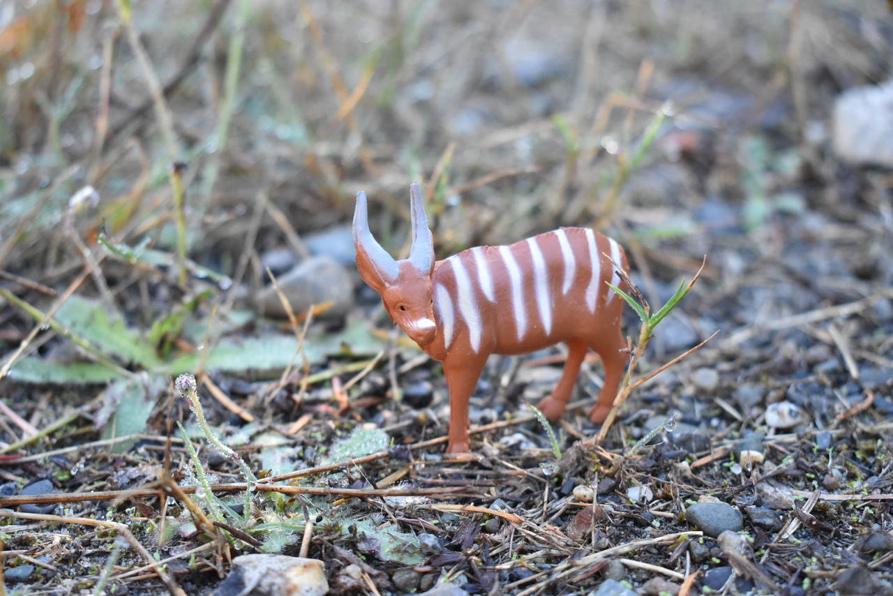 Bongo, African Antelope, Very Nice Plastic Animal, Educational, Realistic  Figure, Lifelike Model, Figurine, Replica, Gift, 2
