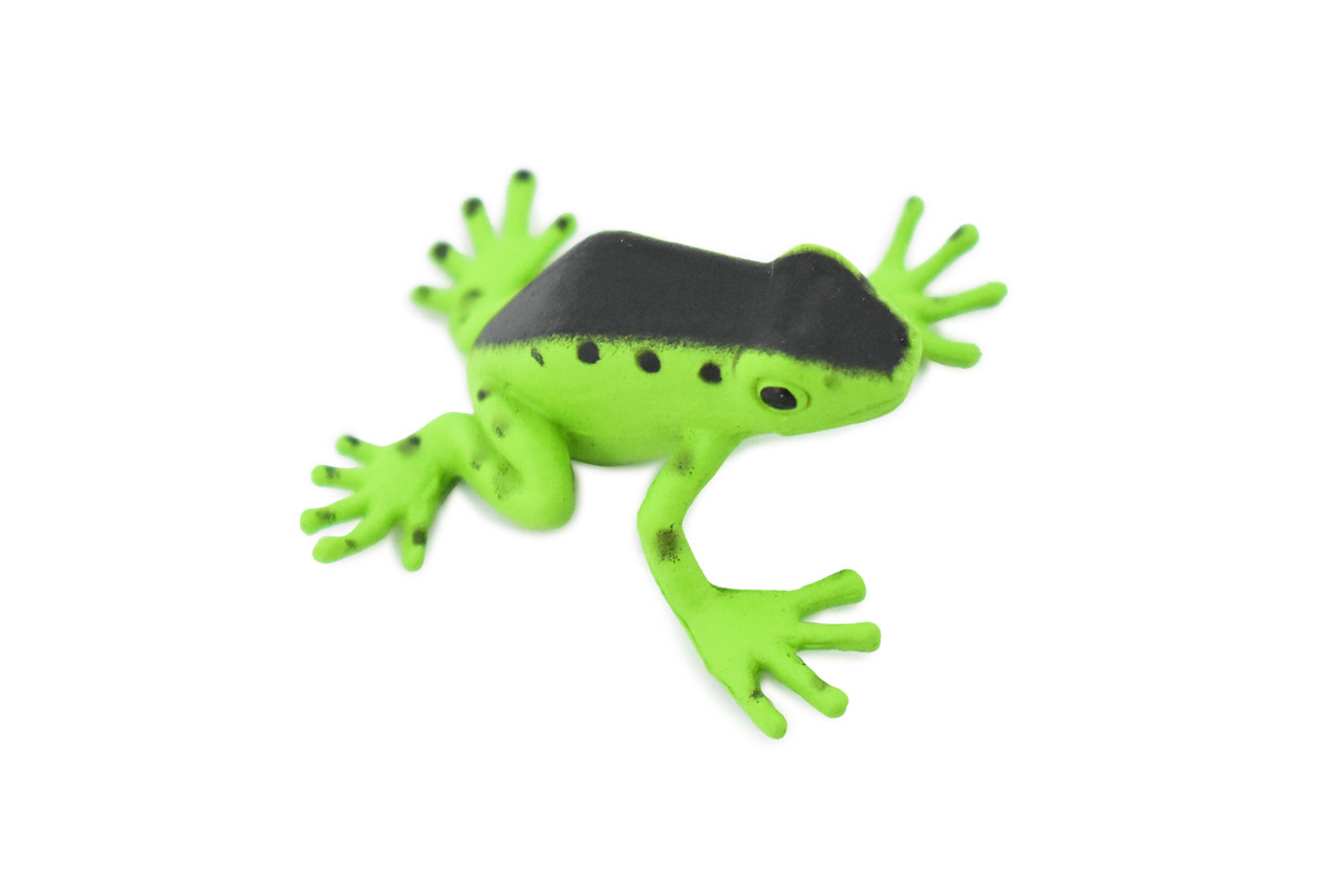 Poison Dart Frog Green and Black Plastic Toy Realistic Rainforest Figure Model Replica Kids Educational Gift  1.5" F091 B43