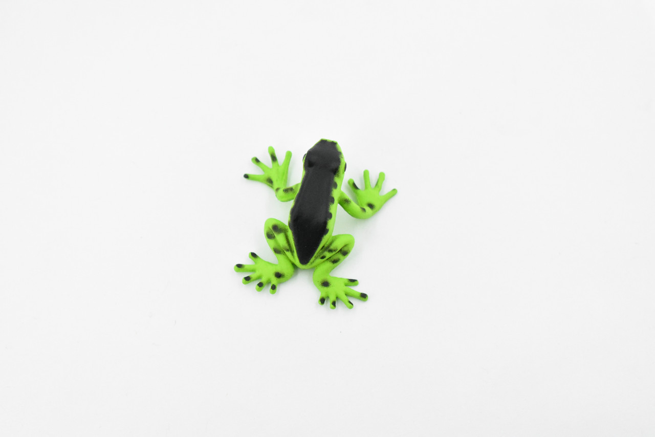 Frog, Green and Black Poison Dart Frog, Plastic Toy, Realistic, Rainforest,  Figure, Model, Replica, Kids, Educational, Gift, 2 F4092 B54