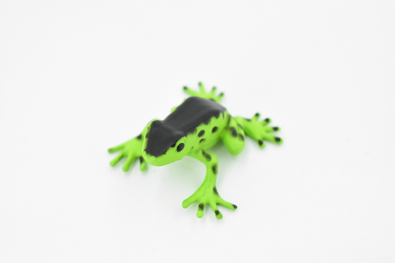 Poison Dart Frog, Green and Black, Hand Painted, Amphibian, Hard Rubber, Rainforest Frog, Model, Replica, Toy, Kids, Educational, Gift,     1 1/2"  