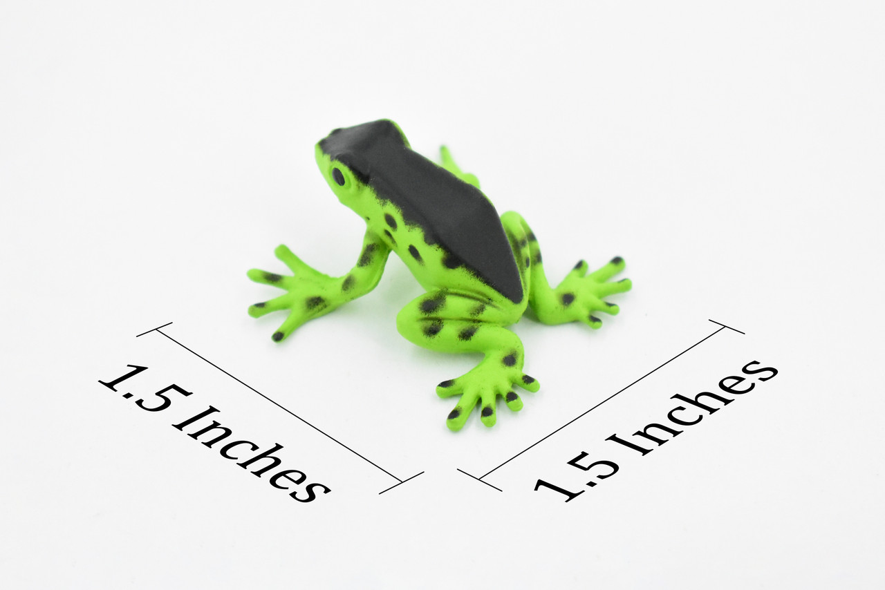 Poison Dart Frog Green and Black Plastic Toy Realistic Rainforest Figure Model Replica Kids Educational Gift  1.5" F091 B43