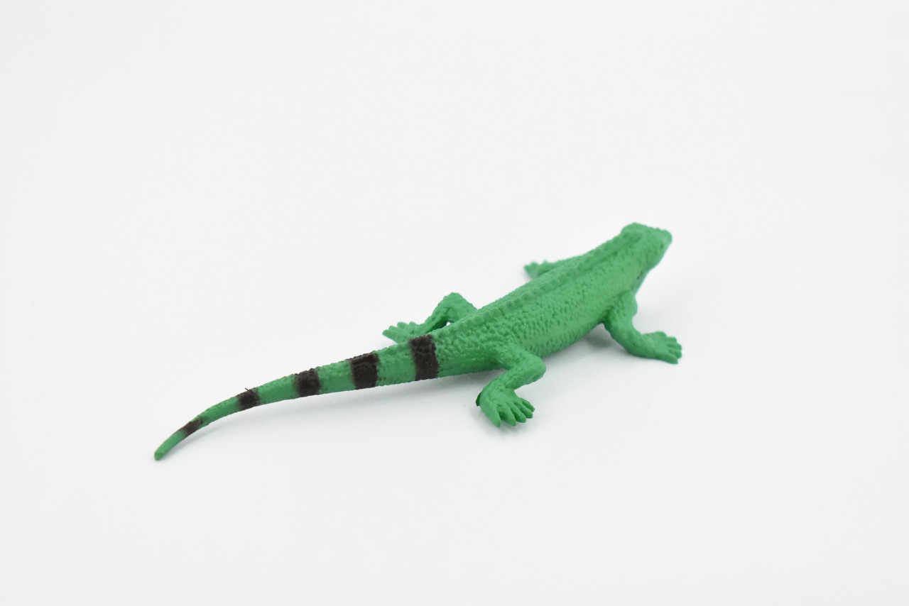 Iguana, Lizard, Rubber Reptile, Toy, Educational, Realistic, Figure, Lifelike Model, Figurine, Replica, Gift,      4"      F094 B43