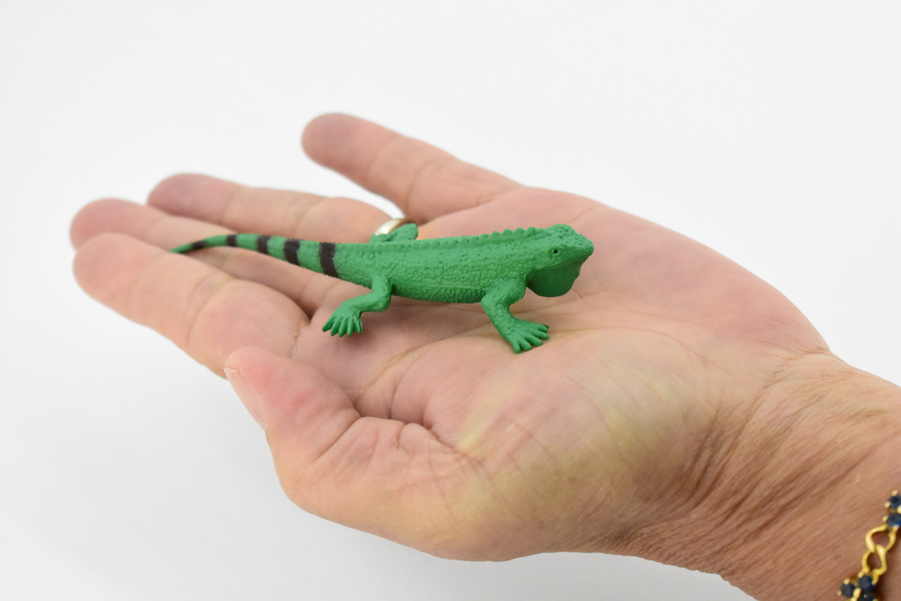 Iguana, Lizard, Rubber Reptile, Toy, Educational, Realistic, Figure, Lifelike Model, Figurine, Replica, Gift,      4"      F094 B43