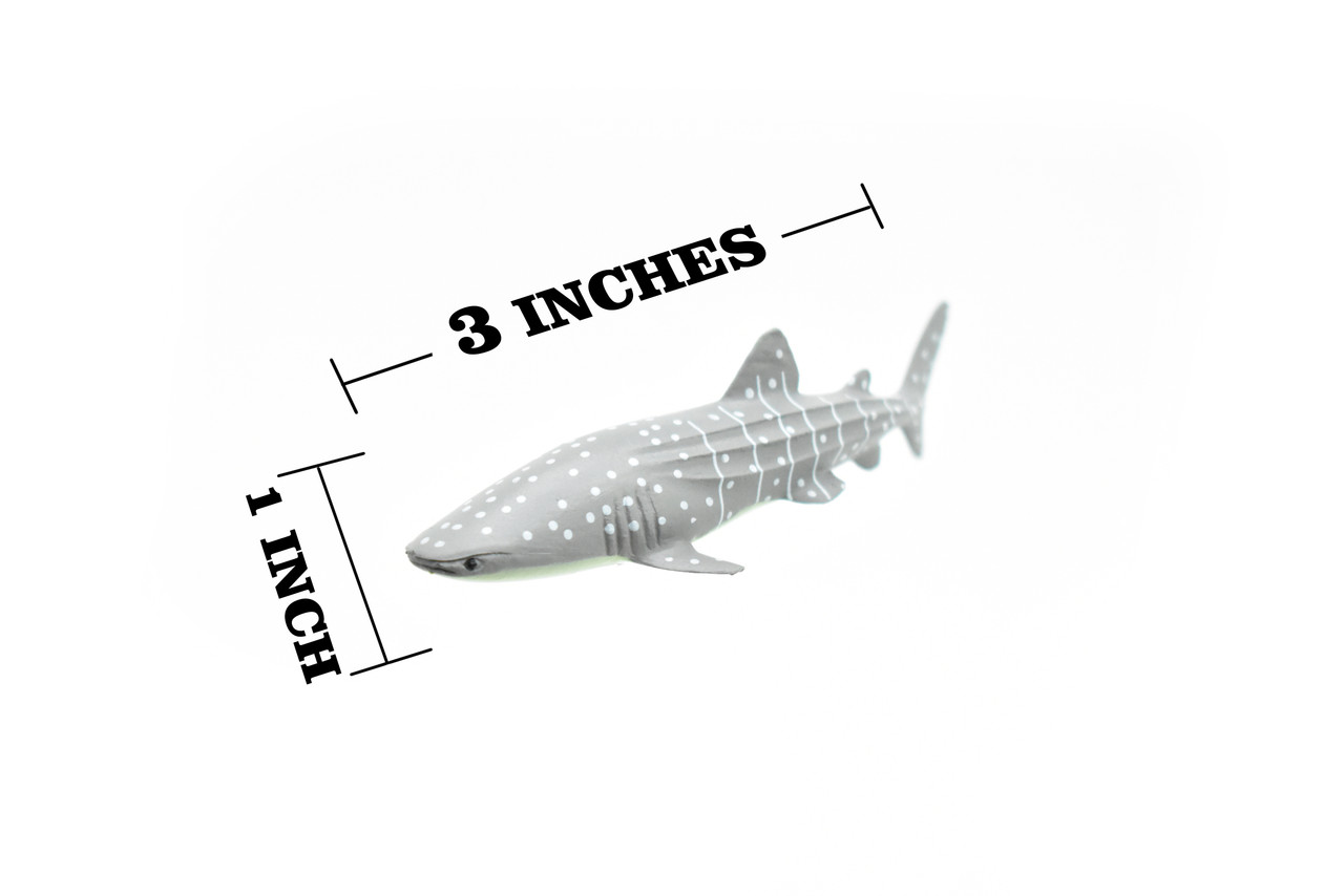 Whale Shark, Curved, Very Nice Plastic Replica    3"    -     F1014 B118