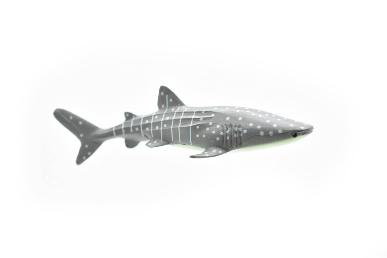 Whale Shark, Curved, Very Nice Plastic Replica    3"    -     F1014 B118