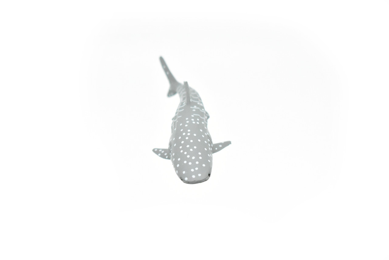 Whale Shark, Curved, Very Nice Plastic Replica    3"    -     F1014 B118