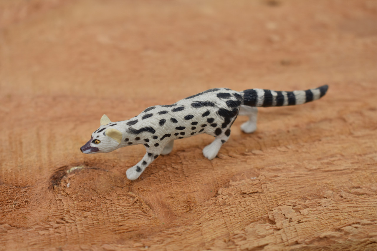 Abyssinian genet, or the Abyssinian civet, Hand Painted, Realistic, Very Nice Rubber Design, Educational, Diorama Model, Lifelike, Toy, 3 Inches. 