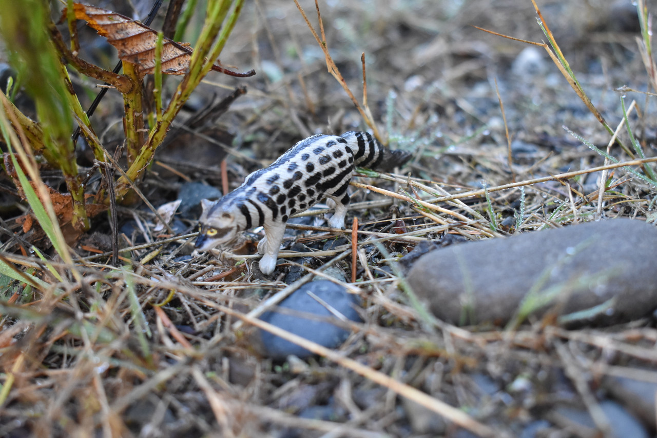 African Civet Cat, Civettictis civetta, Hand Painted, Realistic, Very Nice Rubber Design, Educational, Diorama Model, Lifelike, Toy,  3 Inches.