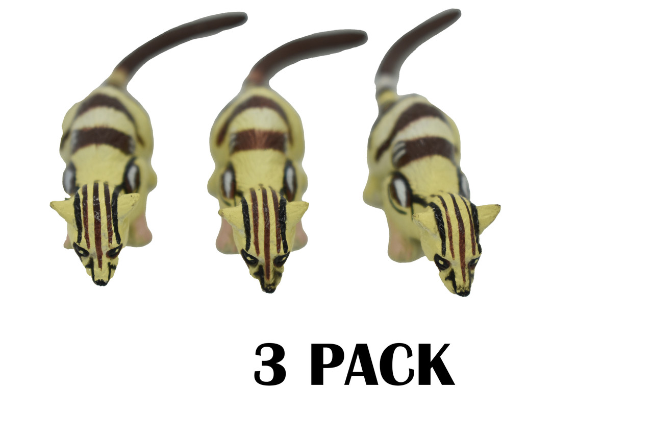 3 PACK