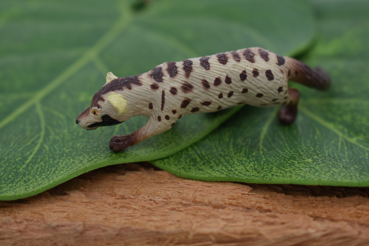 Common Palm Civet, Asian palm civet, Toddy cat, Hand Painted, Realistic, Very Nice Rubber Design, Educational, Diorama Model, Lifelike, Toy, 3 Inches. 