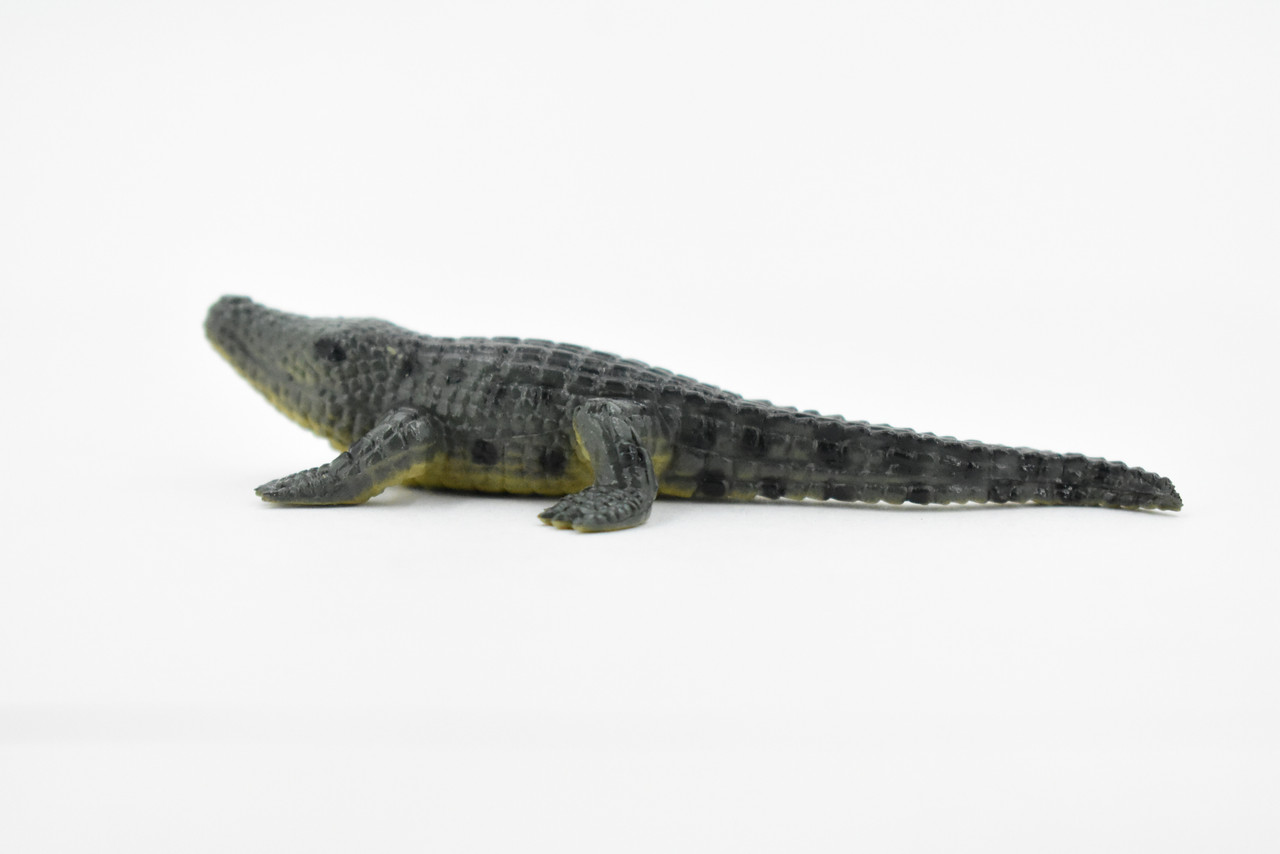 Crocodile, West African Dwarf Crocodile, Rubber Toy Reptile, Realistic Figure, Model, Replica, Kids, Educational, Gift,  3 1/2"      F1078 B212