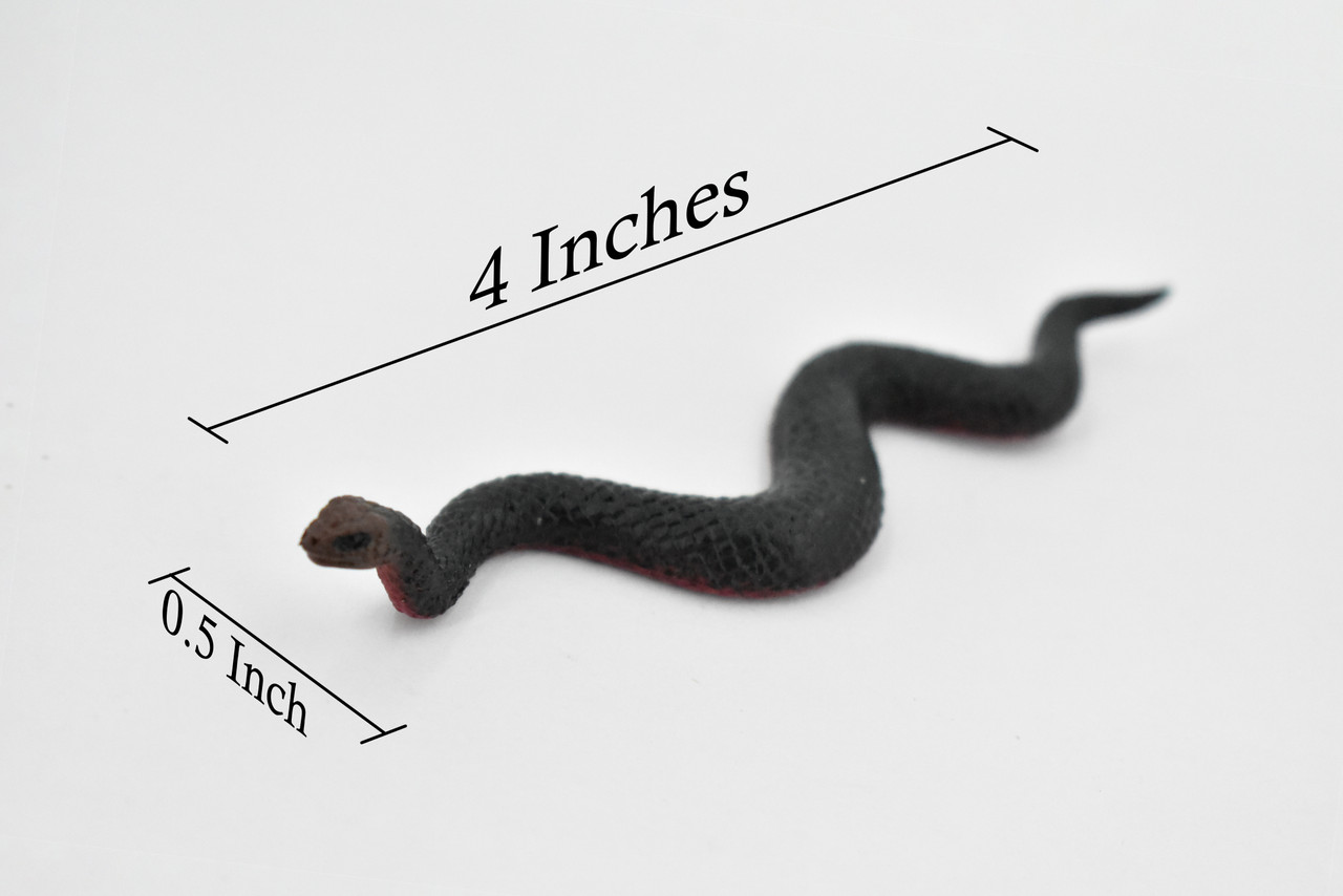 Snake, Red-Bellied Black Snake, Australia, Plastic Reptile, Educational, Realistic, Hand Painted, Figure, Lifelike Model, Figurine, Replica, Gift,     4"      F1096 B165