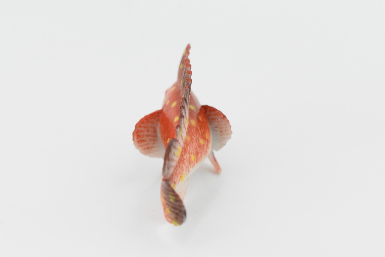 Sculpin, Red, Cottidae, Saltwater Fish, Rubber Fish, Hand Painted, Realistic, Figure, Model, Replica, Toy, Kids, Educational, Gift,       2 1/2"        F1128 B163