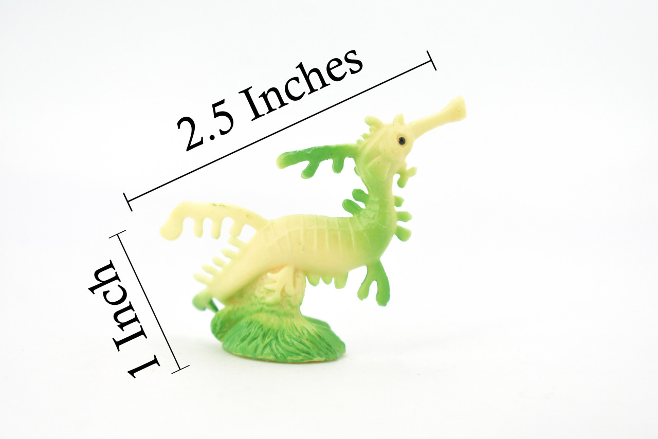 Leafy Sea Dragon, Glauert's Seadragon, Related to Pipefish, and Seahorses, Realistic Soft Rubber, Educational, Figure, Lifelike, Replica, Gift,      21/2"  F1136 B164