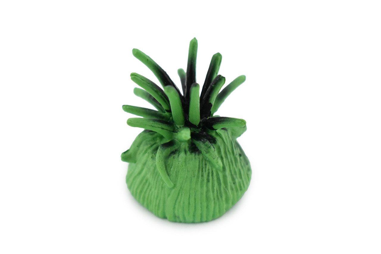 Sea Anemone, Green, Predatory Marine Invertebrates, Ocean, Sea Life, Rubber, Model, Realistic Replica, Educational,  Animal, Life Like, Gift,     1"      F1138 B164