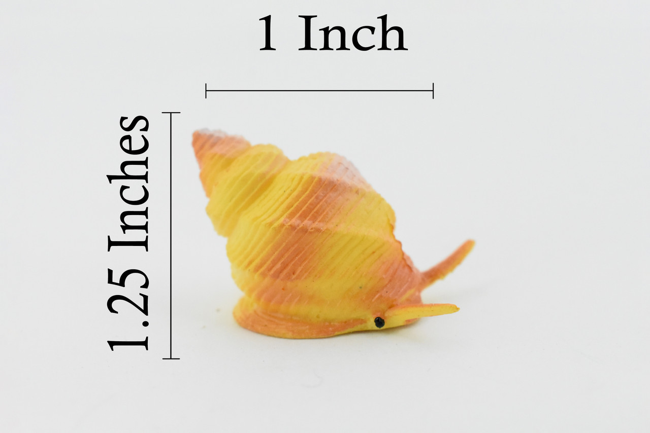 Whelk Shell, Carnivorous Sea Snail, Ocean, Sea Life, Plastic Figure, Model, Realistic Replica, Educational, Figurine, Animal, Life Like, Gift,    1 1/4"   F1147 B164