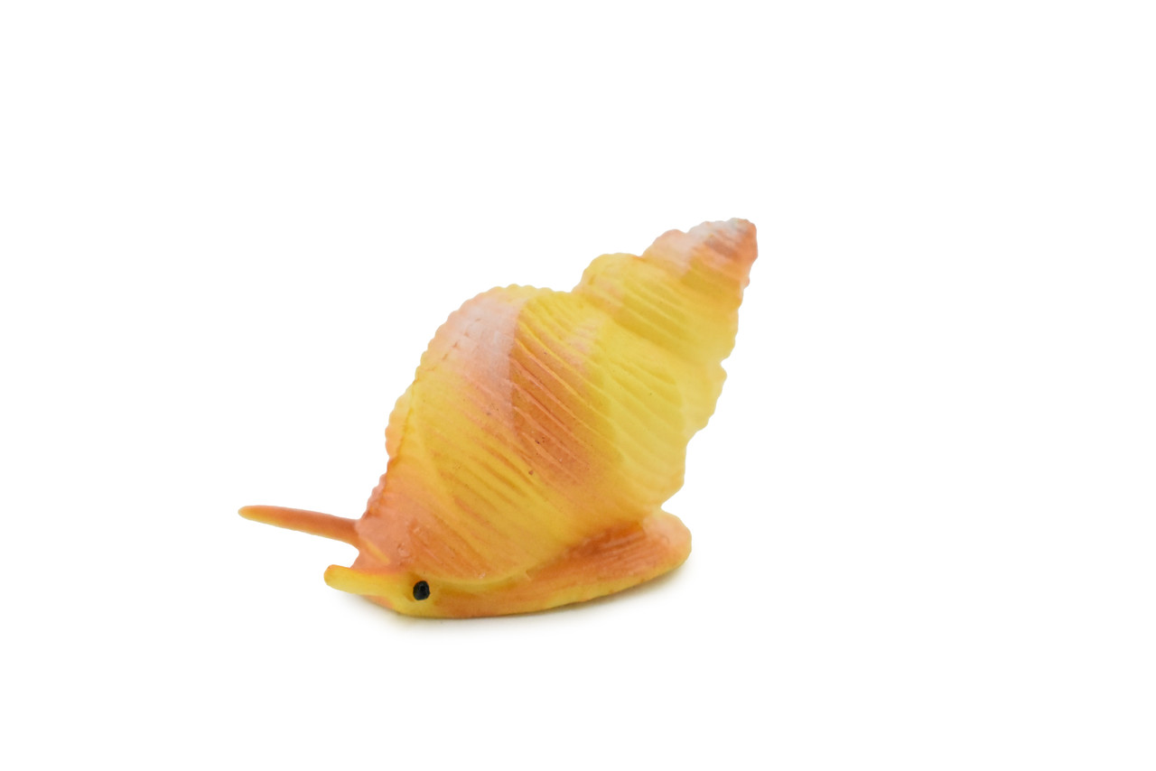 Whelk Shell, Carnivorous Sea Snail, Ocean, Sea Life, Plastic Figure, Model, Realistic Replica, Educational, Figurine, Animal, Life Like, Gift,    1 1/4"   F1147 B164