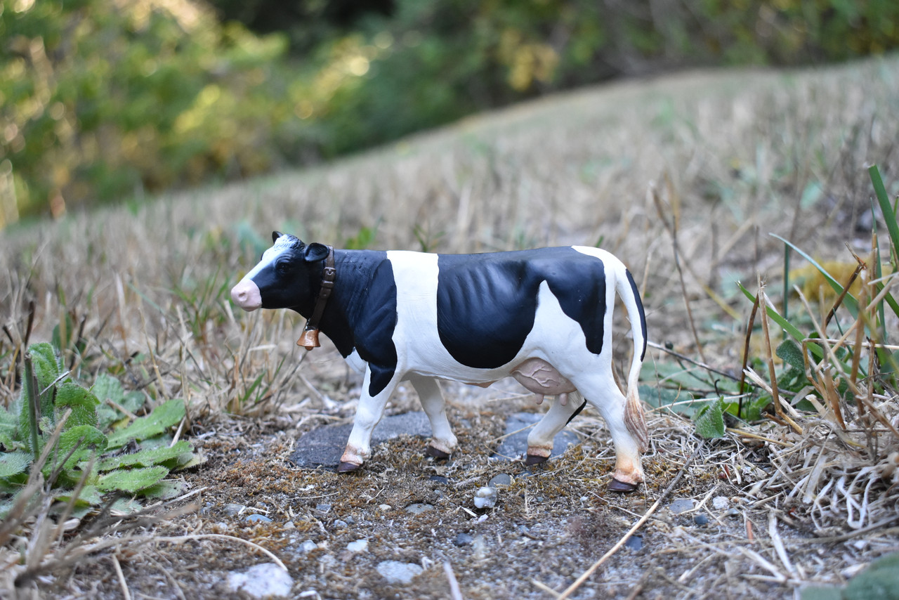 REALISTIC COW REPLICA