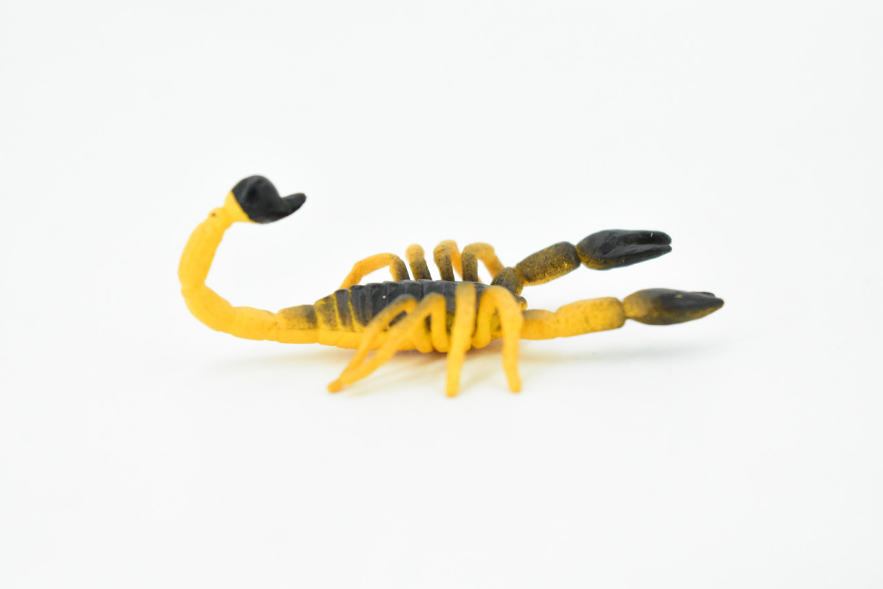 Scorpion, Arachnids, Orange & Brown, Rubber Toy Animal, Realistic Figure, Model, Replica, Kids Educational Gift,     2 1/2"     F1514 B103