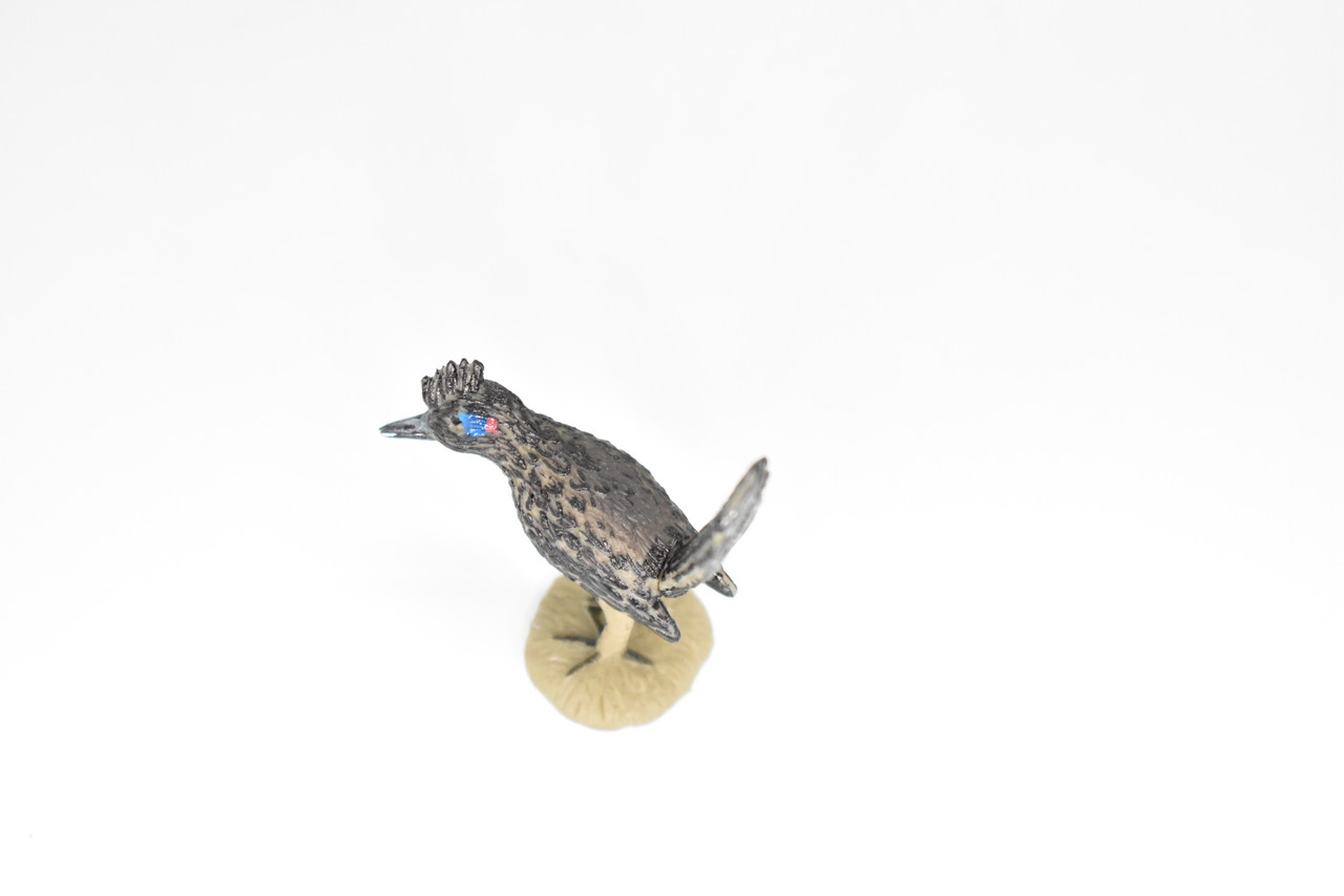 Roadrunner, Very Nice Rubber Bird, Educational, Realistic  Desert Bird, Hand Painted, Figure, Lifelike Model, Figurine, Replica,   2 Inches.