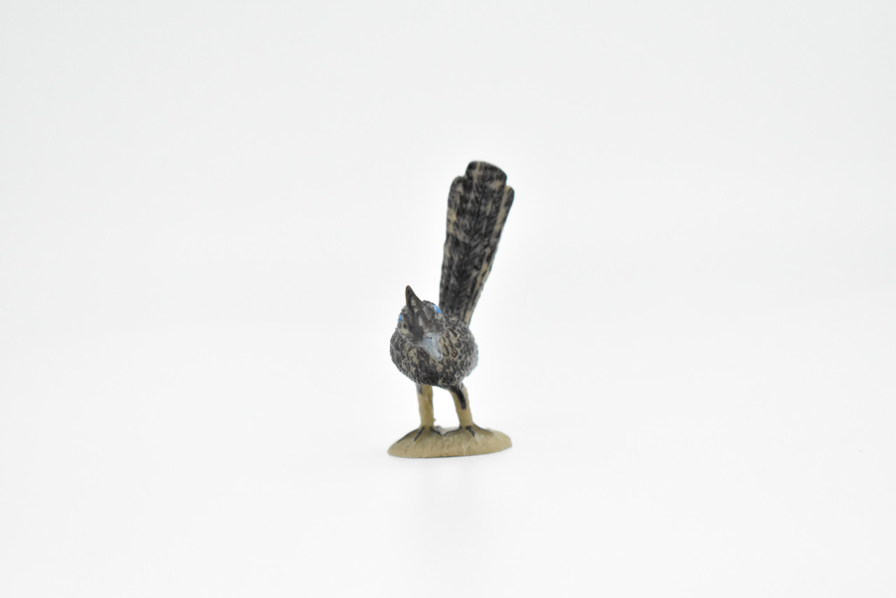 Roadrunner, Very Nice Rubber Bird, Educational, Realistic  Desert Bird, Hand Painted, Figure, Lifelike Model, Figurine, Replica, Gift,     2 Inches      F1515 B103