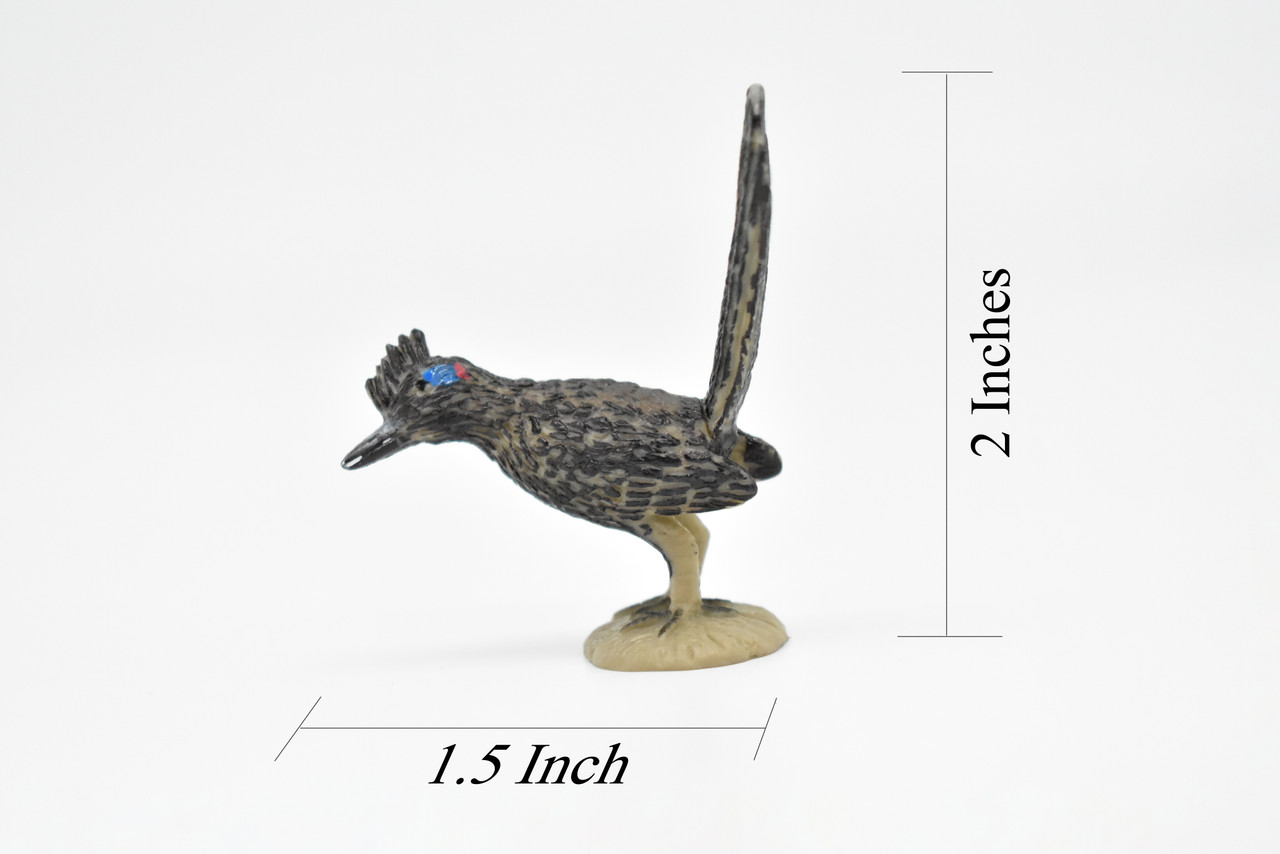 Roadrunner, Very Nice Rubber Bird, Educational, Realistic  Desert Bird, Hand Painted, Figure, Lifelike Model, Figurine, Replica,   2 Inches.