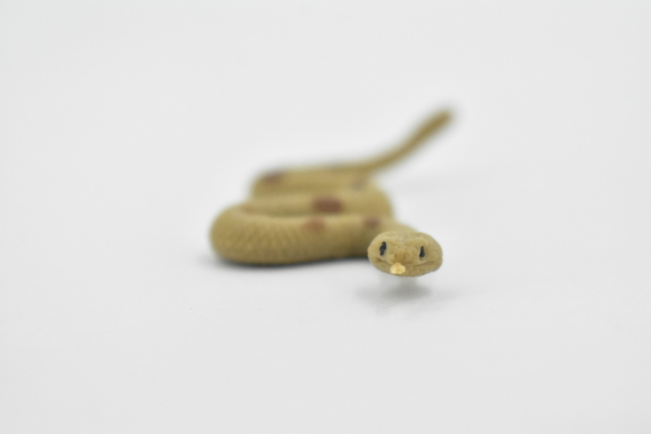 Rattlesnake, Rubber Reptile, Educational, Realistic Snake,  Hand Painted, Figure, Lifelike Model, Figurine, Replica, Toy, Kids, Gift,     2 1/2 Inches    F1517 B103