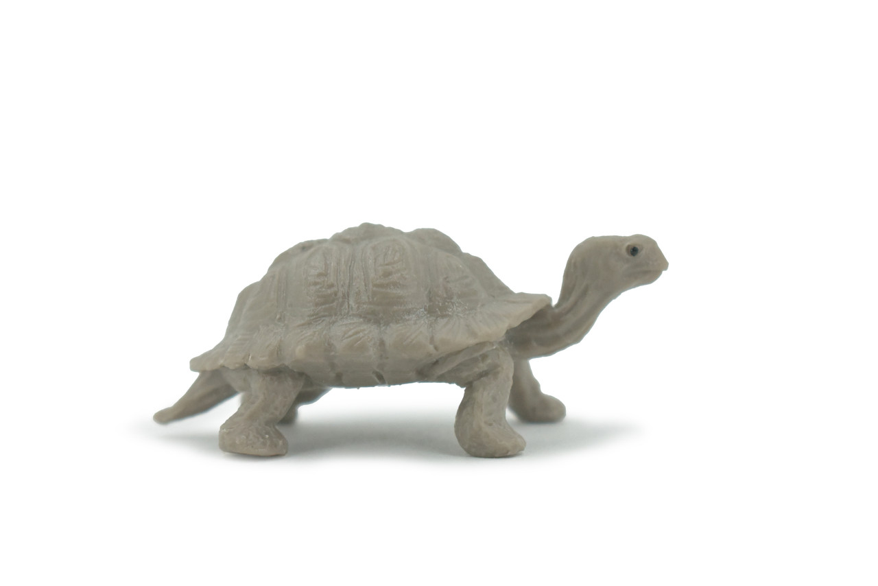 Tortoise, Galapagos Islands, Turtle, Plastic Reptile, Educational, Realistic, Hand Painted, Figure, Lifelike Model, Figurine, Replica, Gift,    2 1/2" 