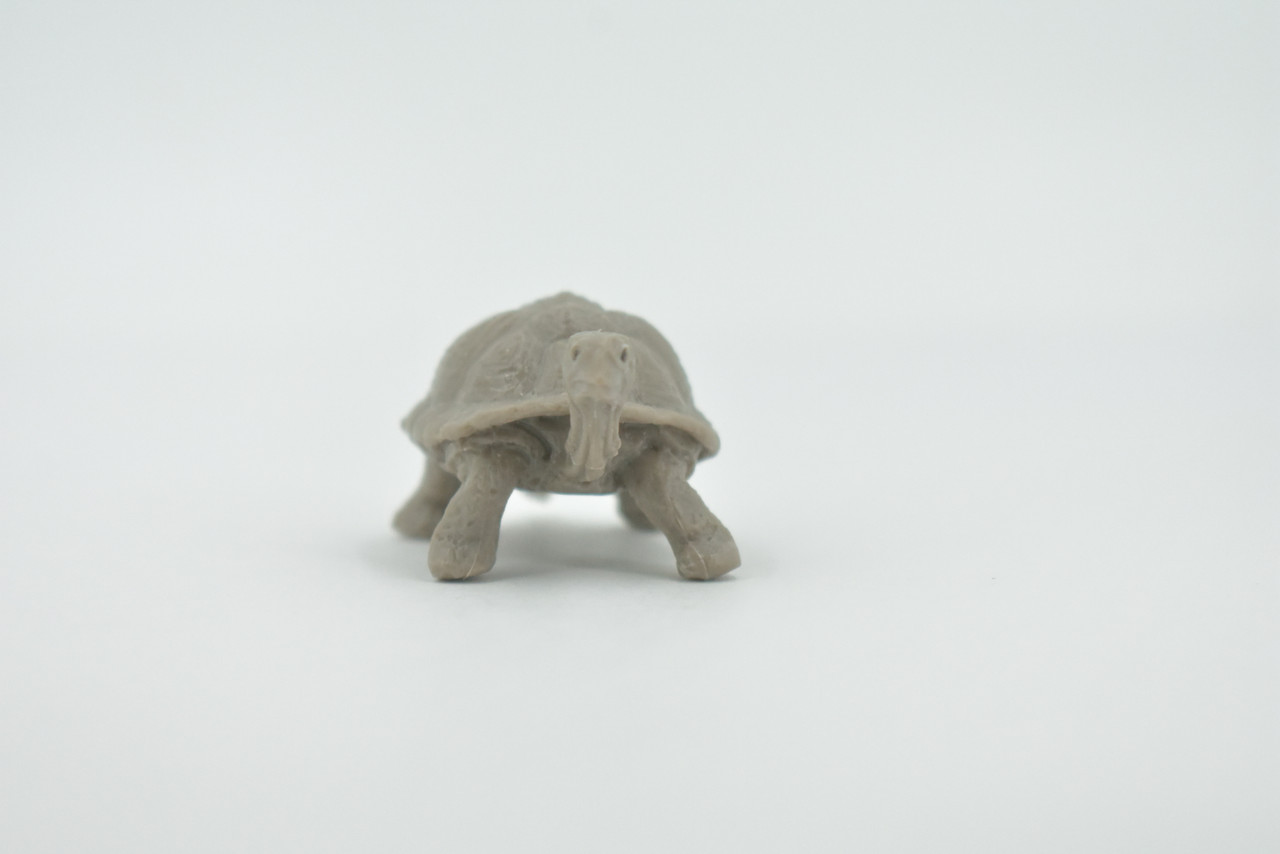 Tortoise, Galapagos Islands, Turtle, Plastic Reptile, Educational, Realistic, Hand Painted, Figure, Lifelike Model, Figurine, Replica, Gift,      2 1/2"    F1520 B150