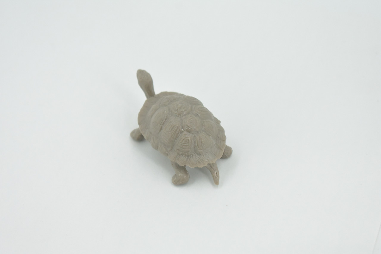 Tortoise, Galapagos Islands, Turtle, Plastic Reptile, Educational, Realistic, Hand Painted, Figure, Lifelike Model, Figurine, Replica, Gift,      2 1/2"    F1520 B150