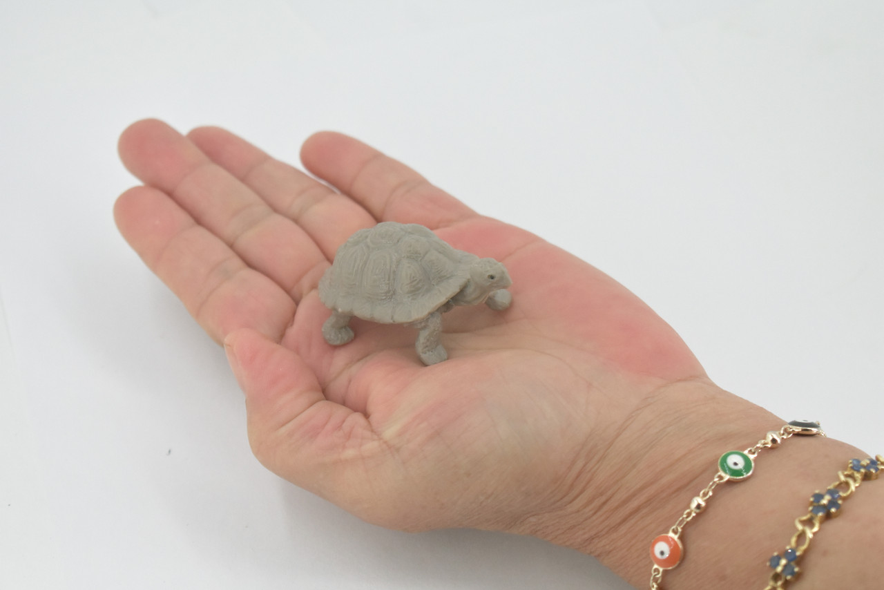 Tortoise, Galapagos Islands, Turtle, Plastic Reptile, Educational, Realistic, Hand Painted, Figure, Lifelike Model, Figurine, Replica, Gift,    2 1/2" 