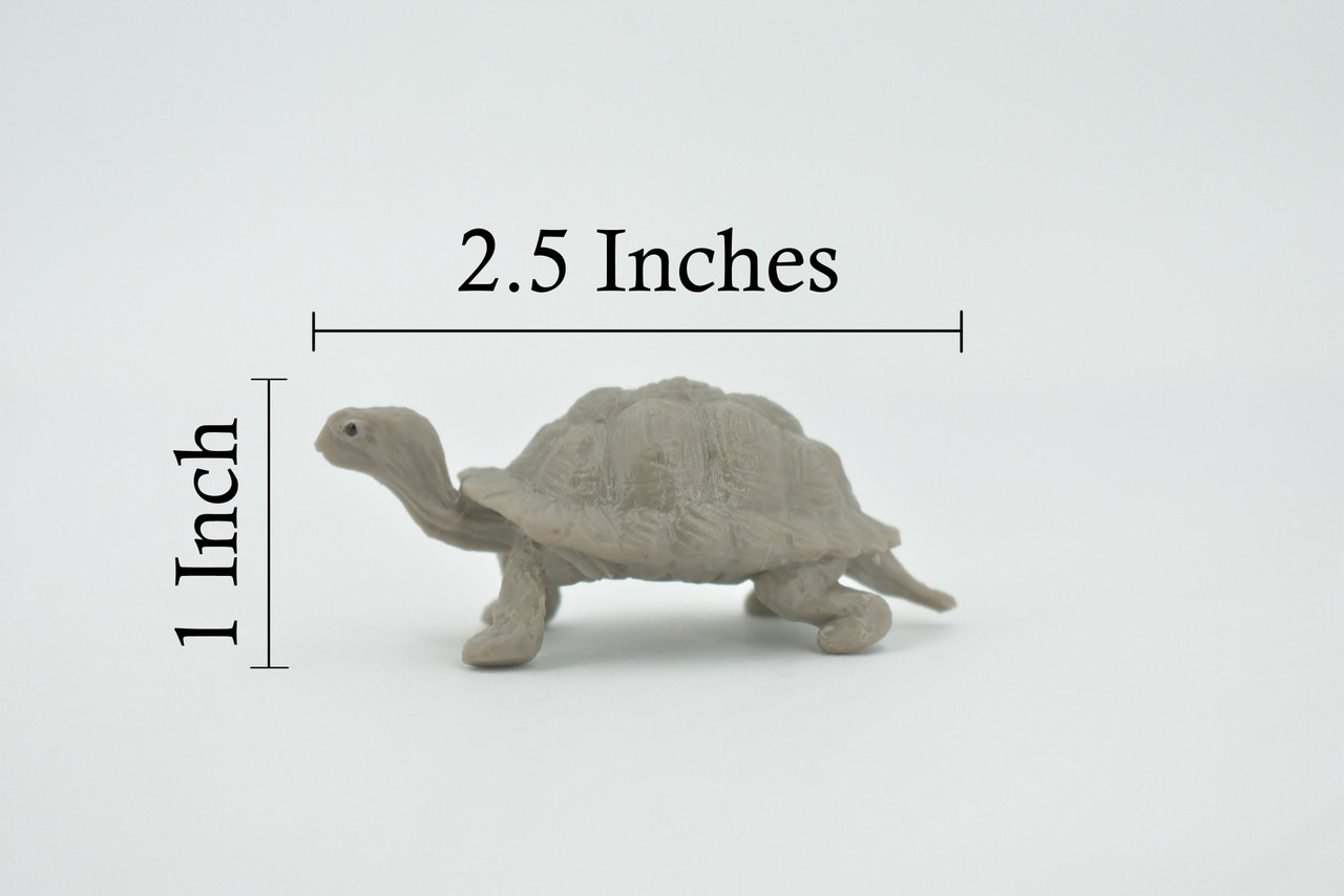 Tortoise, Galapagos Islands, Turtle, Plastic Reptile, Educational, Realistic, Hand Painted, Figure, Lifelike Model, Figurine, Replica, Gift,    2 1/2" 