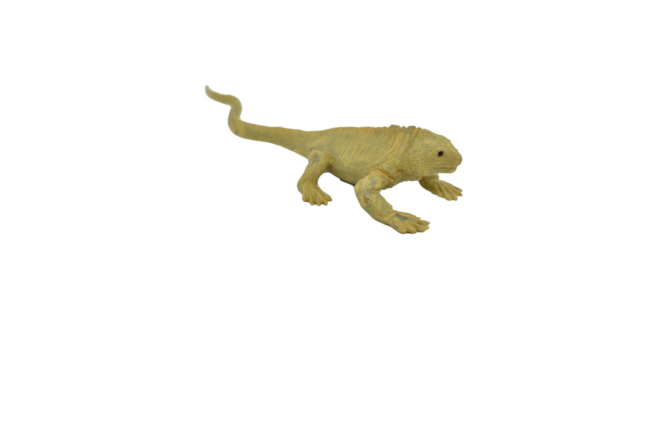 Land Iguana, Galapagos Islands,  Educational, Hand Painted, Realistic Plastic Reptile Figure, Lifelike, Diorama, Toy, Kids, Gift,   4 Inches.