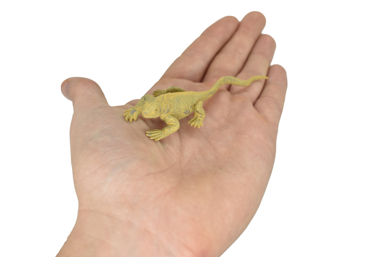 Land Iguana, Galapagos Islands,  Educational, Hand Painted, Realistic Plastic Reptile Figure, Lifelike, Diorama, Toy, Kids, Gift,   4 Inches.