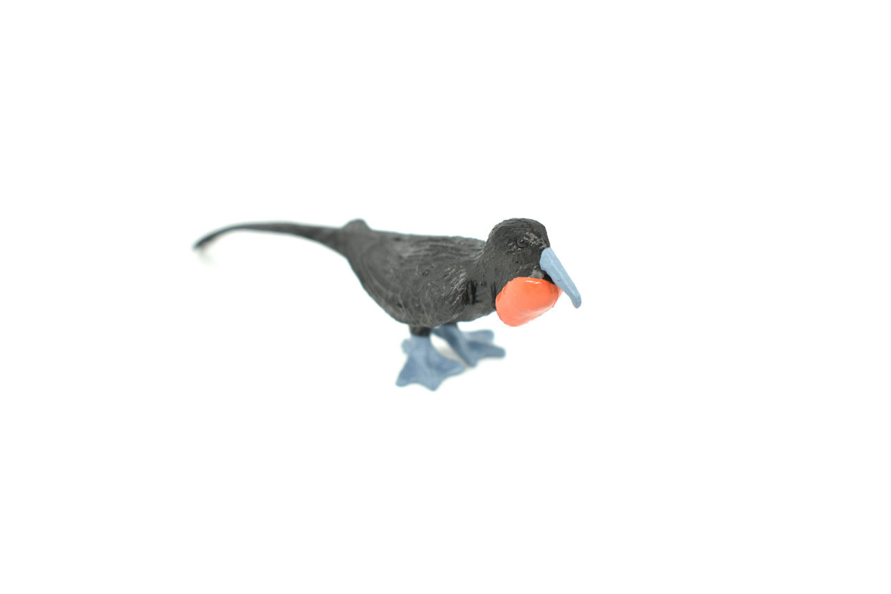 Frigatebird, Galapagos Islands, Educational, Hand Painted, Realistic Plastic Bird Figure, Lifelike, Diorama, Model, Toy, Kids, Gift,  3 1/2 Inches.
