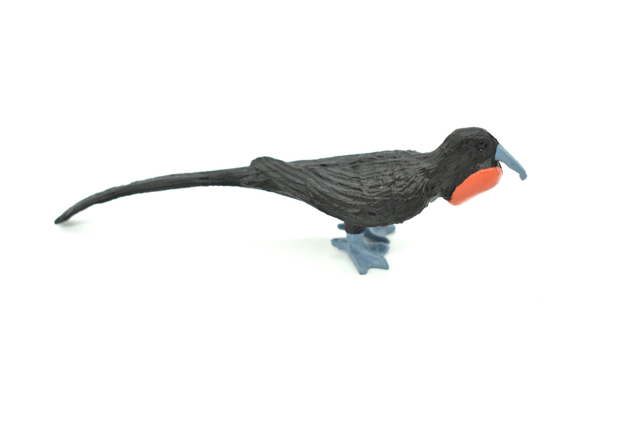 Frigatebird, Galapagos Islands, Educational, Hand Painted, Realistic Plastic Bird Figure, Lifelike, Diorama, Model, Toy, Kids, Gift,  3 1/2 Inches.