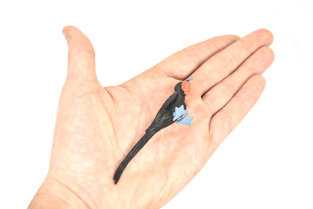 Frigatebird, Galapagos Islands, Educational, Hand Painted, Realistic Plastic Bird Figure, Lifelike, Diorama, Model, Toy, Kids, Gift,  3 1/2 Inches.