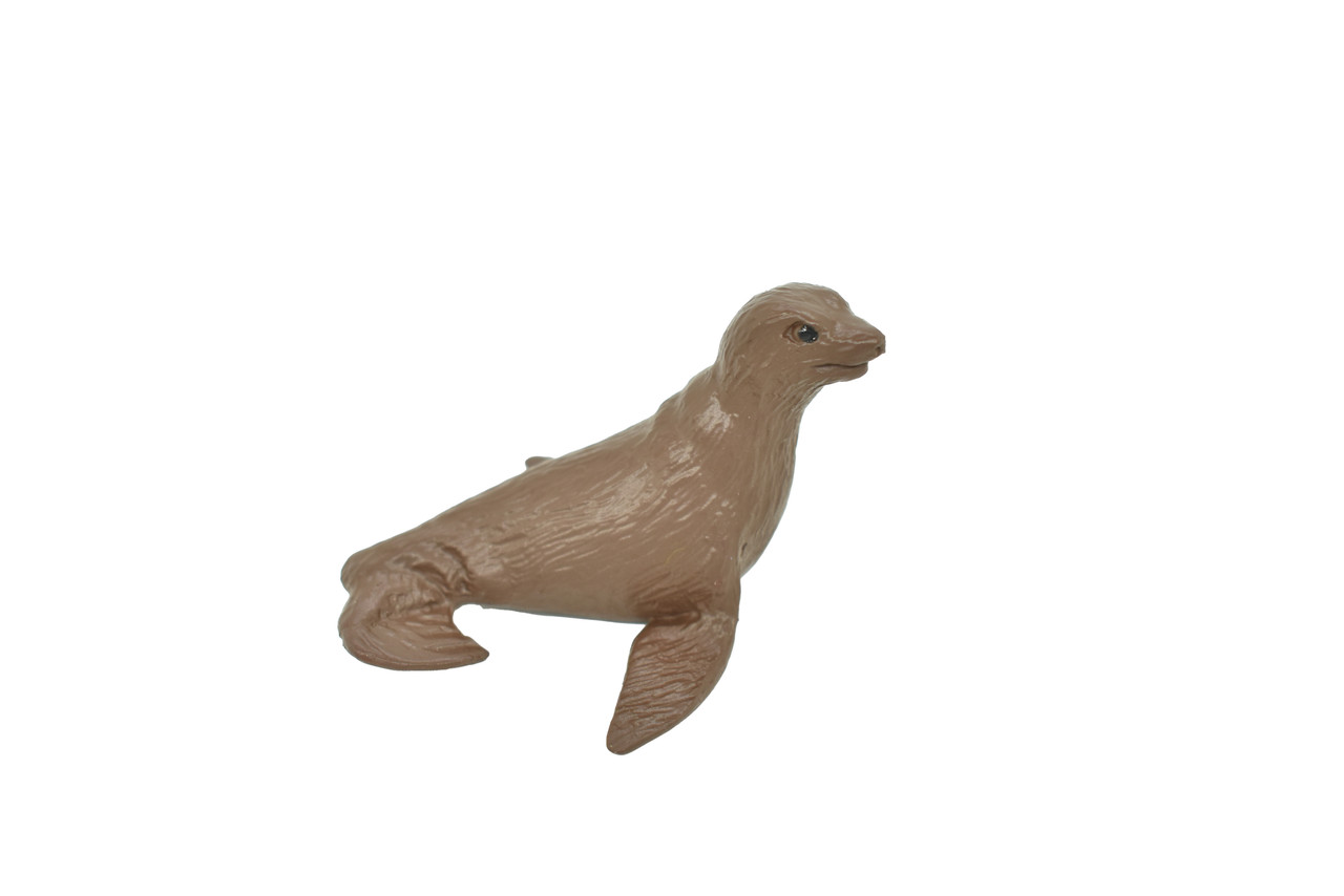 Fur Seal, Galapagos Islands, Educational, Hand Painted, Realistic Plastic Animal, Lifelike, Diorama, Model, Toy, Kids, Gift,   2 Inches. 