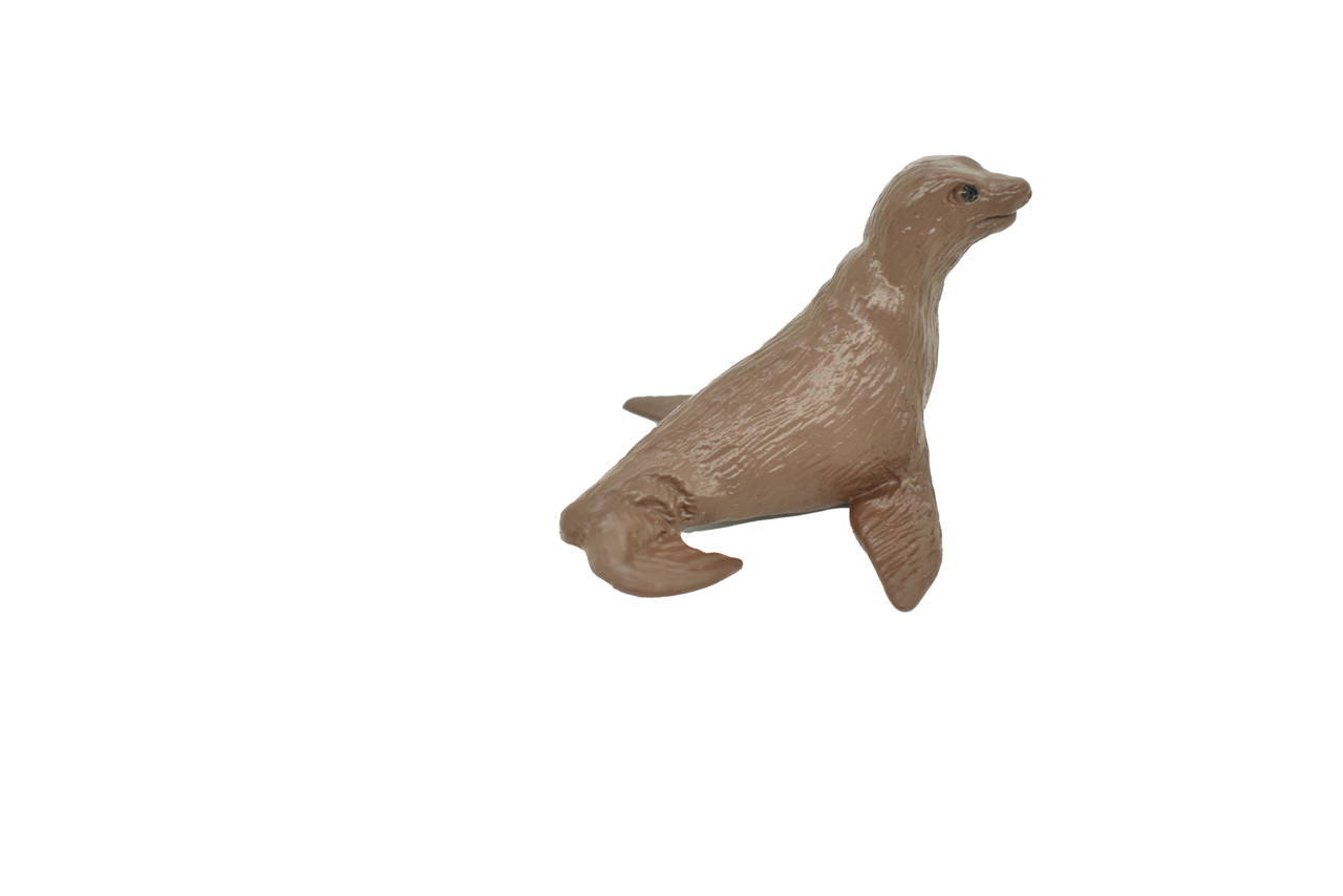 Fur Seal, Galapagos Islands, Educational, Hand Painted, Realistic Plastic Animal, Lifelike, Diorama, Model, Toy, Kids, Gift,   2 Inches. 