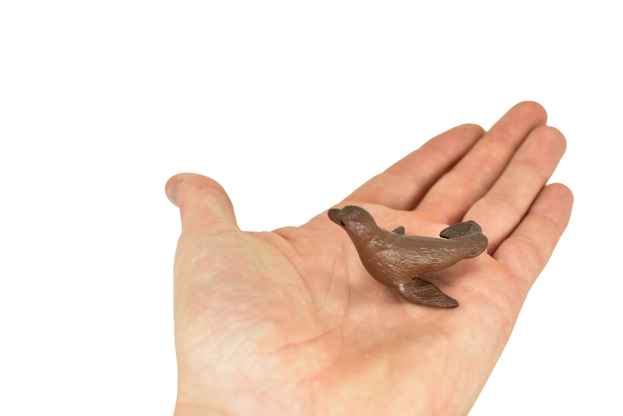Fur Seal, Galapagos Islands, Educational, Hand Painted, Realistic Plastic Animal, Lifelike, Diorama, Model, Toy, Kids, Gift,   2 Inches. 