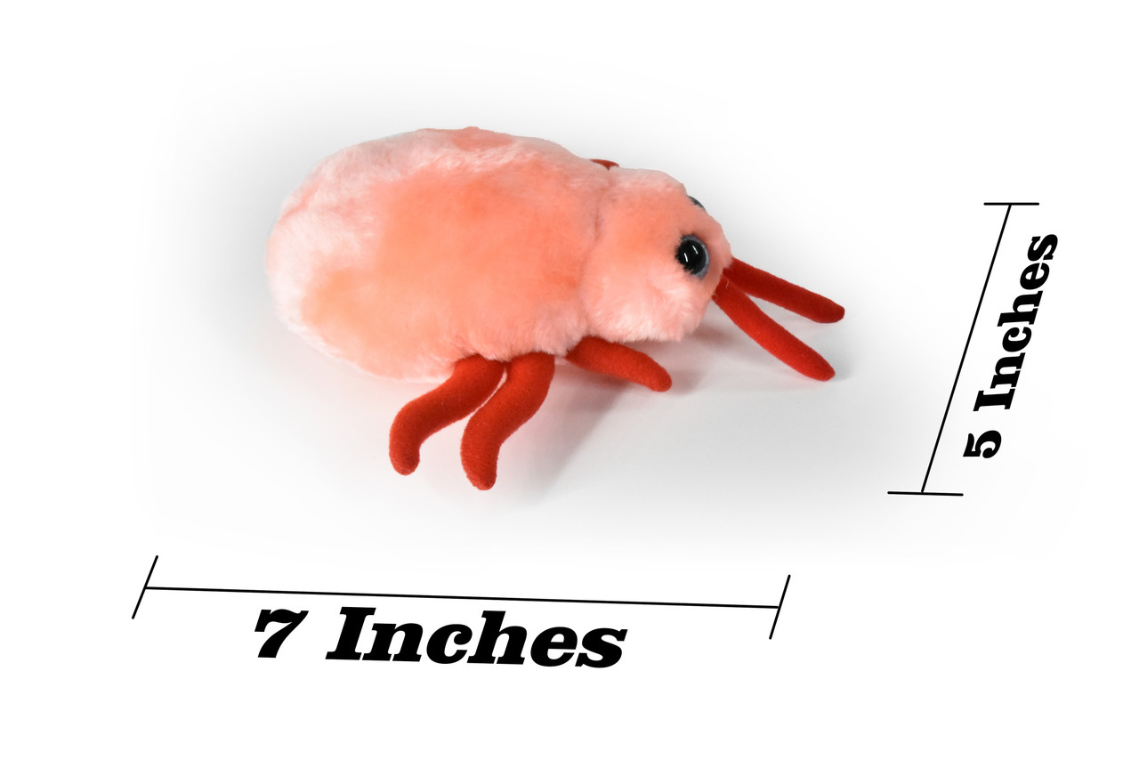 Bed Bug Cimex lectularius Parasitic insect Bed Beetles Plush Design Educational Figure Replica Gift 7 F1559 B137