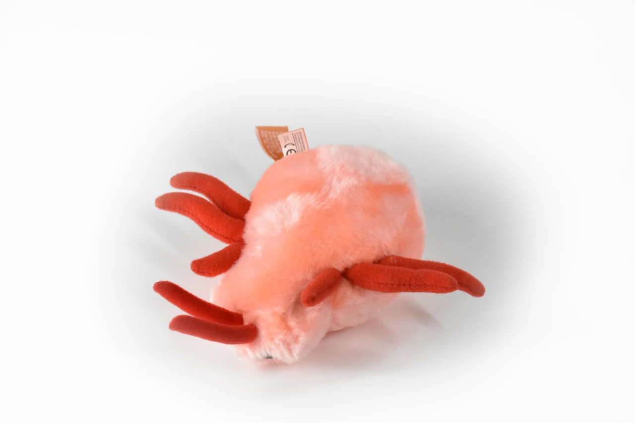 Bed Bug, Cimex lectularius, Parasitic insect, Bed Beetles, Educational, Plush Design, Insect, Very Nice Figure, Diorama Model, Replica, Great Gift,  7 Inches