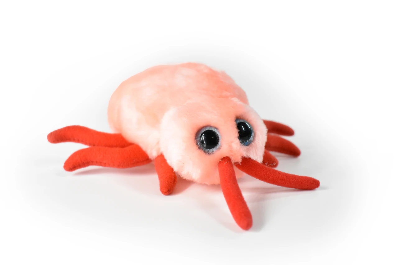 Bed Bug, Cimex lectularius, Parasitic insect, Bed Beetles, Educational, Plush Design, Insect, Very Nice Figure, Diorama Model, Replica, Great Gift,  7 Inches