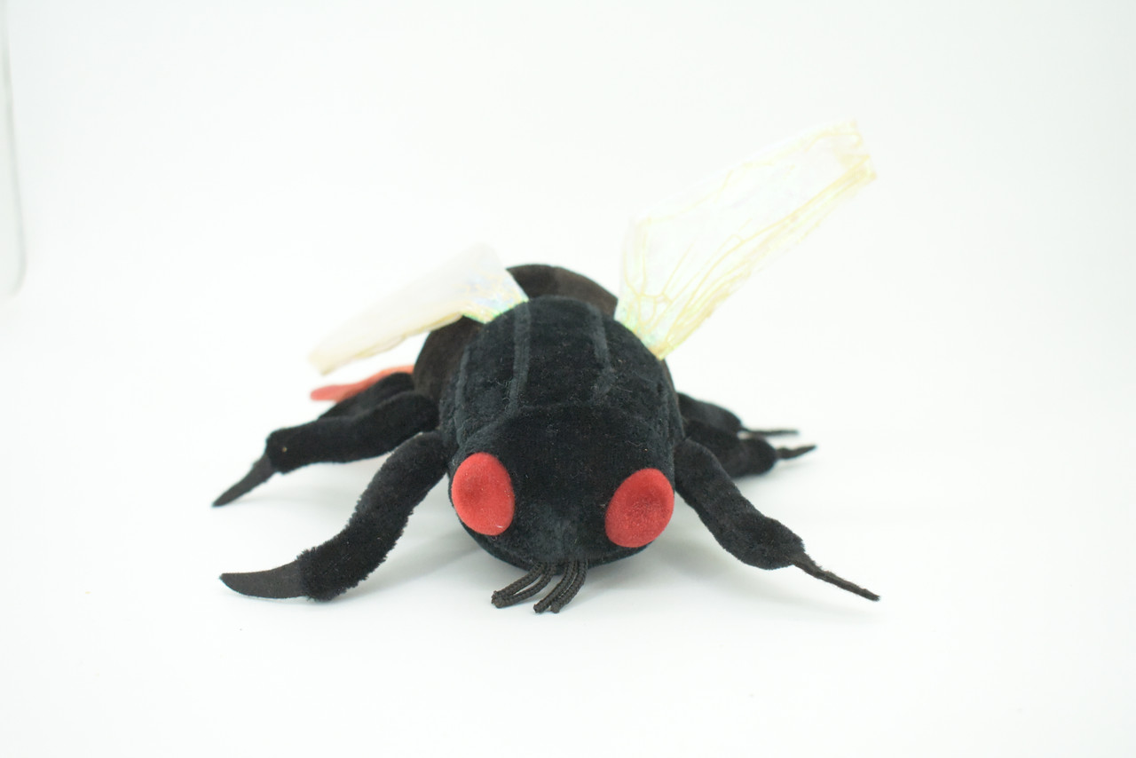 Fly, House Fly, Musca domestica, Domestic fly, Plush Design, Educational, Figure, Replica, Gift,    6"    F1564 B137