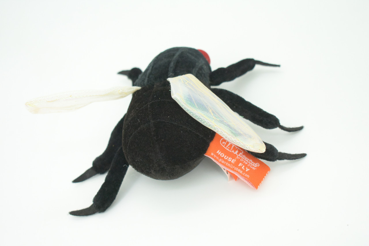 Fly, House Fly, Musca domestica, Domestic fly, Plush Design, Educational, Figure, Replica, Gift,    6"    F1564 B137
