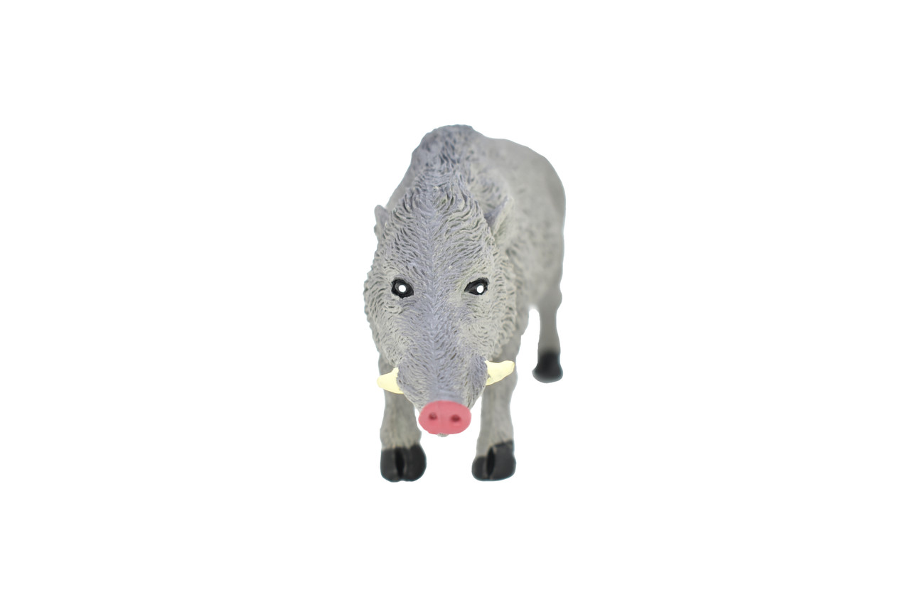 Boar, Wild Pig, Very Nice Plastic Animal, Educational, Realistic Hand Painted Figure, Lifelike Model, Figurine, Replica, Gift,   5 1/2"    F159 B24