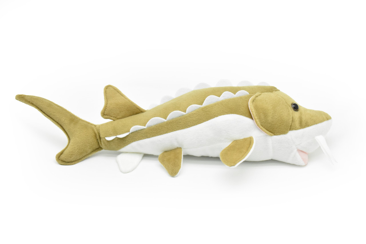 Sturgeon, Very Nice Plush Fish, Stuffed Animal, Educational, Toy, Kids, Realistic Figure, Gift,     17"