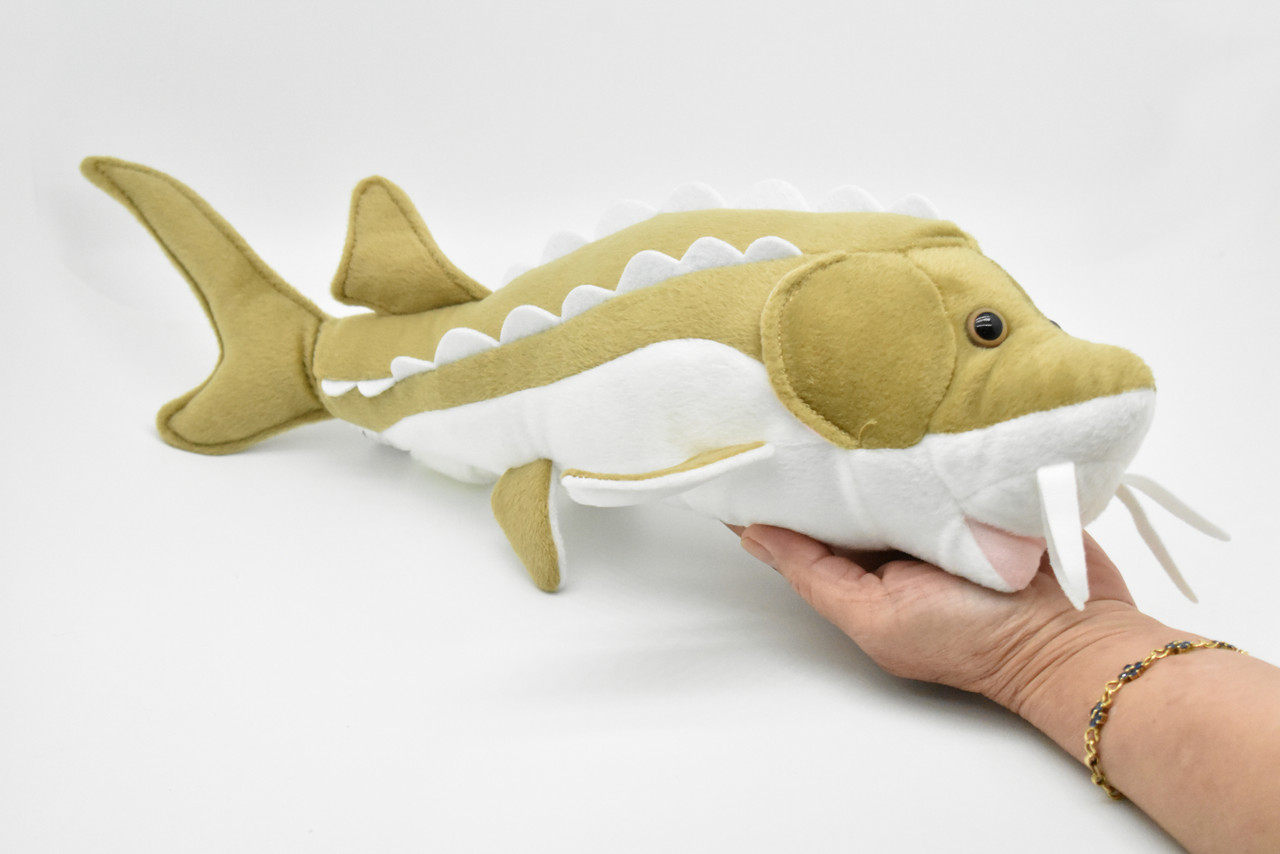 Sturgeon, Very Nice Plush Fish, Stuffed Animal, Educational, Toy, Kids, Realistic Figure, Gift,     17"