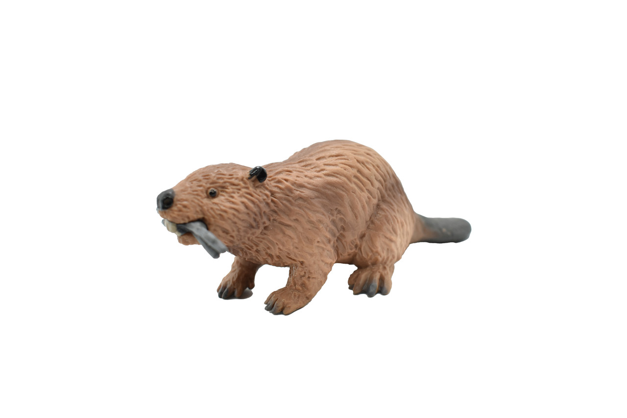 Beaver, Castor, Very Nice Plastic Animal, Educational, Toy, Kids, Realistic Figure, Lifelike Model, Figurine, Replica, Gift,   4.5"    F1651 B151         