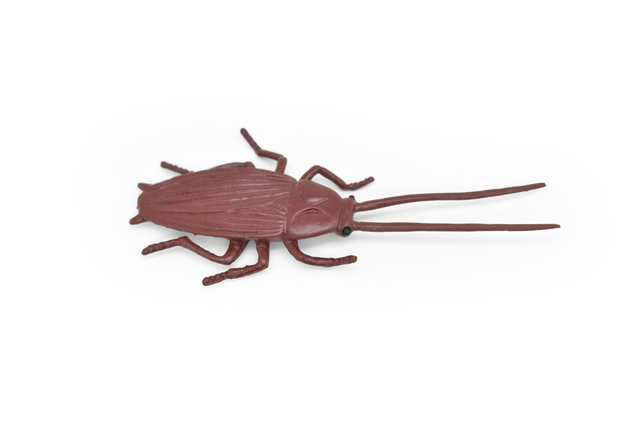 Cockroach, Rubber Toy Insect, Realistic Figure, Model, Replica, Kids Educational Gift,     3  inches long     F1652 B74